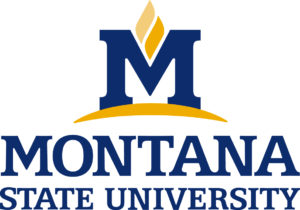 logo of Montana State University
