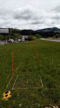 Experimental roadside vegetation testing plots to evaluate roadside vegetation management
