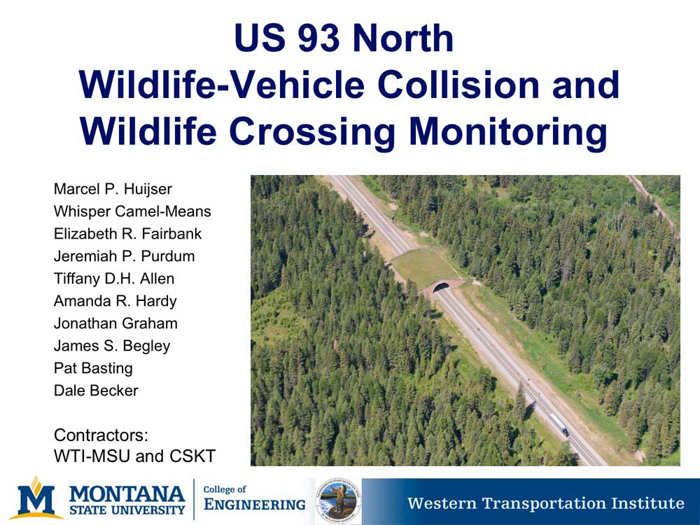 Report, wildlife crossing & collision monitoring US93, Montana