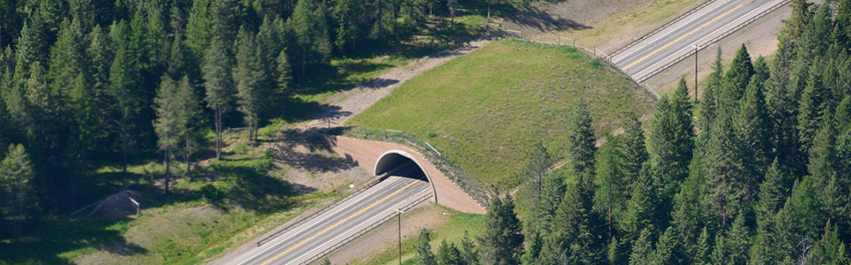Aerial Image of Wildlife Overpass