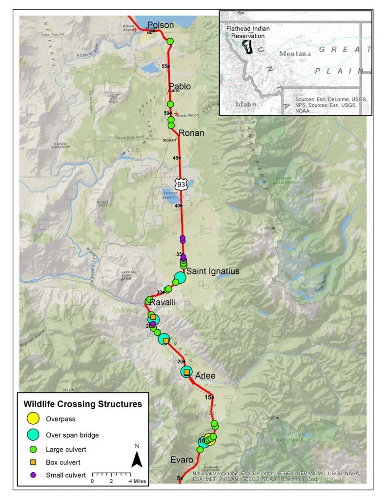 wildlife crossing structures map