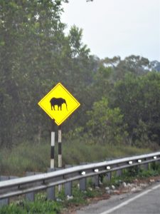Elephant crossing sign next to highway in Malaysia