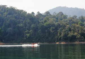 Boat with passengers travels through lake in Royal Belum State Park, Malaysia