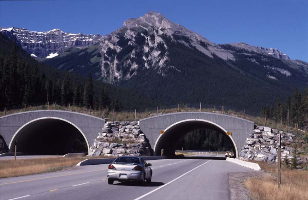 car on a rural highway approaching a wildlife overpass in mountainous region