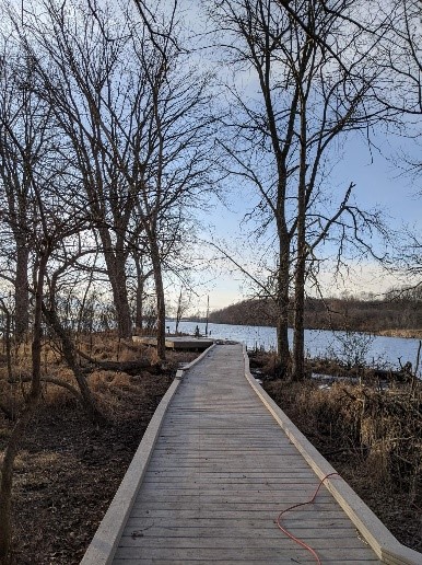 Nature trail near shoreline in Detroit River International Wildlife Refuge
