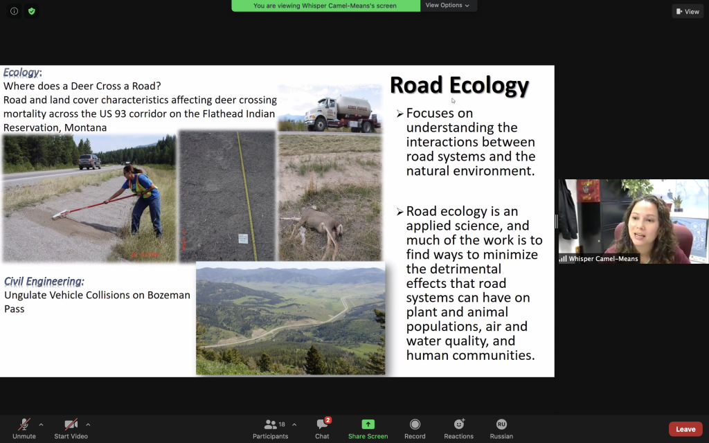 screen shot of Whisper Camel-Means presenting at UNESCO virtual conference with a presentation slide describing road ecology