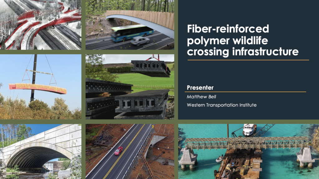 Cover image Fiber-reinforcedpolymer wildlife crossing infrastructure