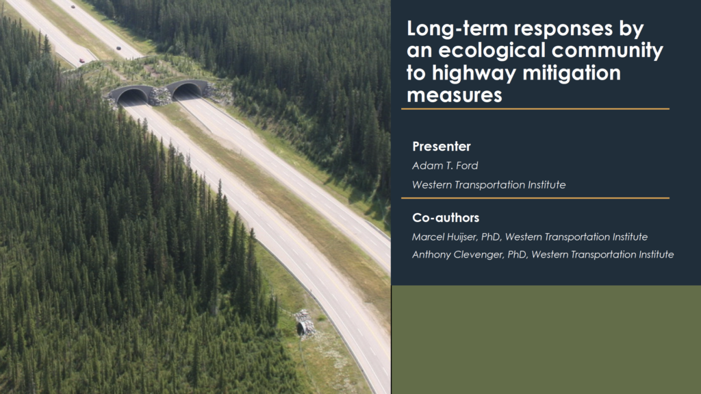 Presentation title slide Long-term response by an ecological community to highway mitigation measures. Presenter Adam T. Ford, Western Transportation Institute