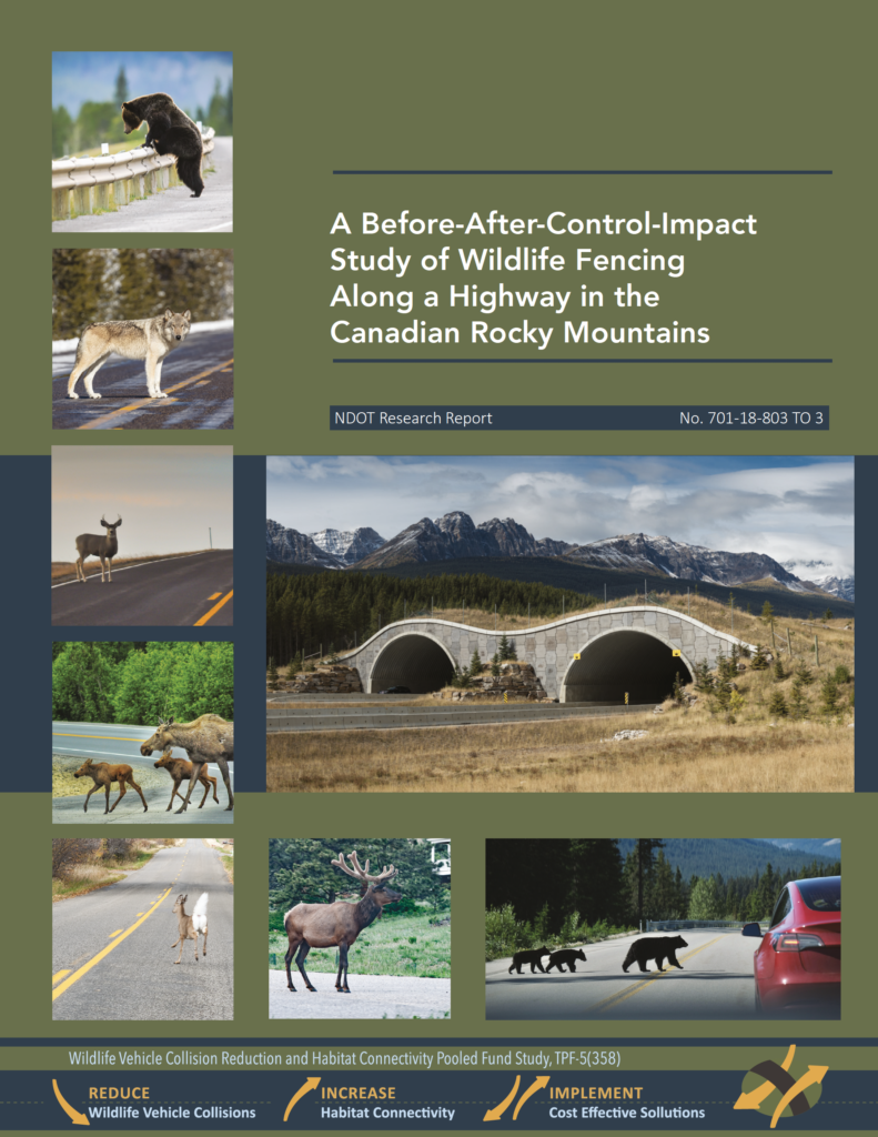 Report Cover A Before After Control Impact study of wildlife fencing along a highway in the canadian rocky mountains
