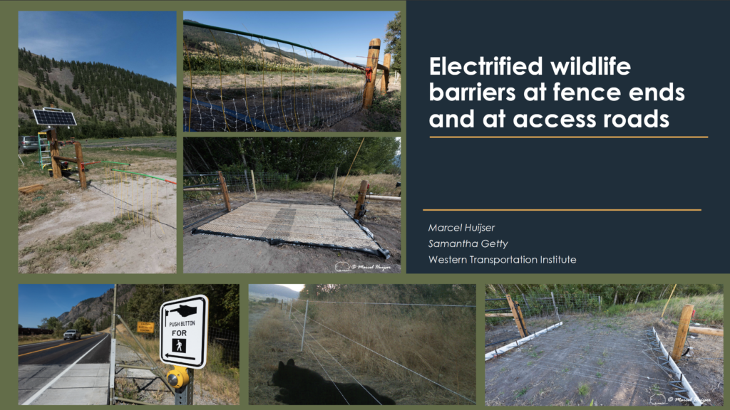 Presentation title slide Electrified wildlife barriers at fence ends and at access roads, Marcel Huijser, Samantha Getty