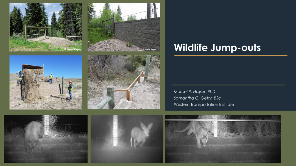 Presentation title slide Wildlife jump-outs Marcel Huijser, Samantha Getty