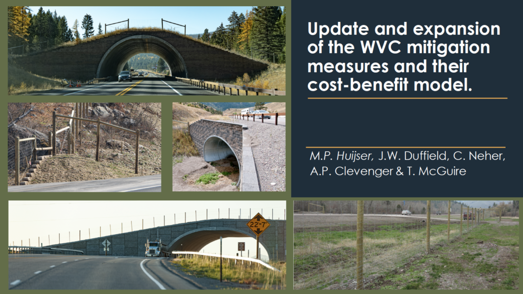 Presentation title slide for update and expansion of the WVC mitigation measures and their cost-benefit model