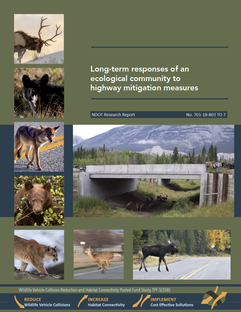 Long-term responses of an ecological community to highway mitigation measures
