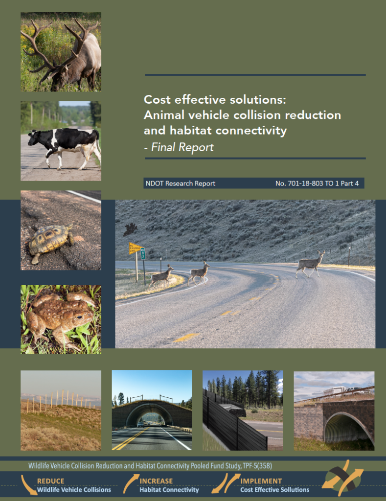Report Cover: Cost Effective Solutions: Animal vehicle collision reduction and habitat connectivity-Final Report
