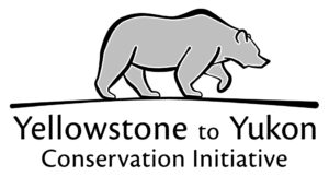 The Yellowstone to Yukon Conservation Initiative logo.