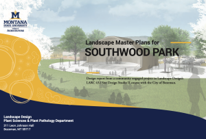 Presentation cover showing graphical rendering of public viewing an outdoor stadium.
