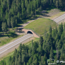 Aerial Image of Wildlife Overpass