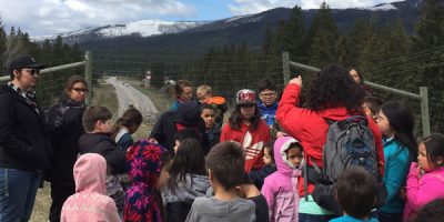 Researcher discusses wildlife crossings with students on wildlife overpass.